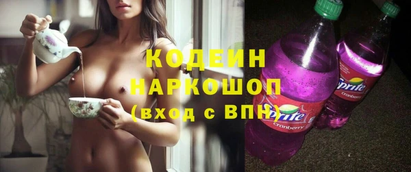 МДПВ Каменногорск