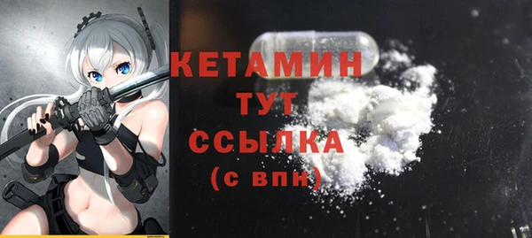 индика Каменка
