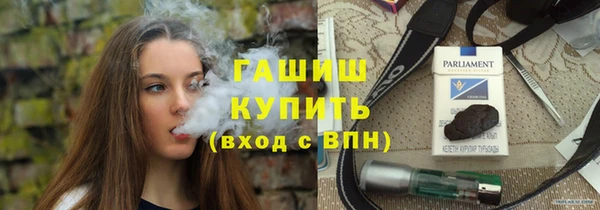 индика Каменка