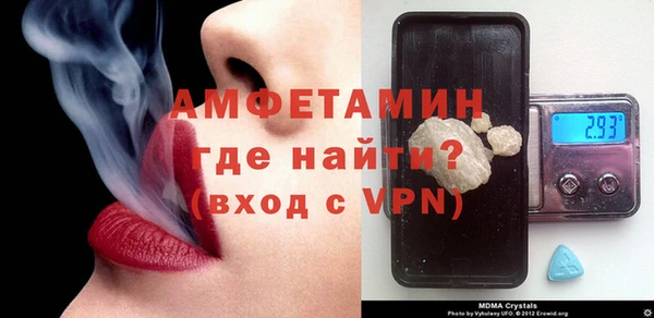 индика Каменка