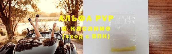 индика Каменка