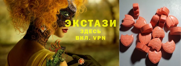 индика Каменка
