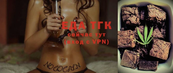 индика Каменка