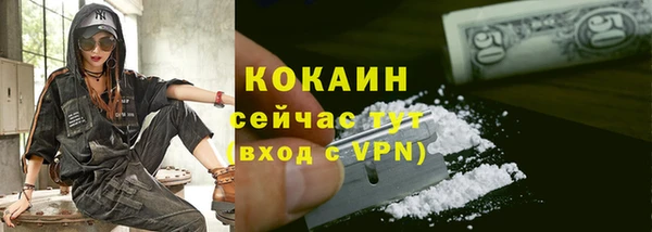 индика Каменка