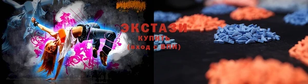 индика Каменка