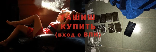 МДПВ Каменногорск