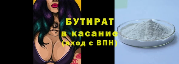 индика Каменка