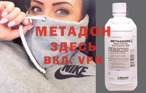 индика Каменка