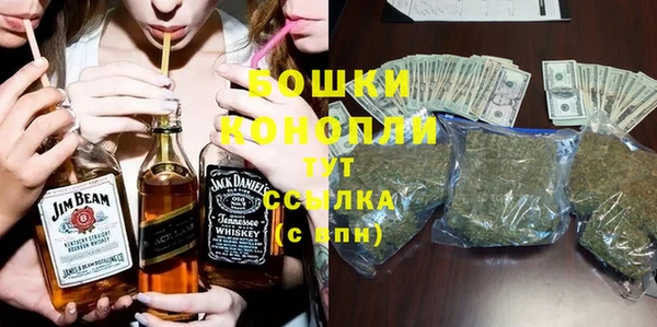 индика Каменка