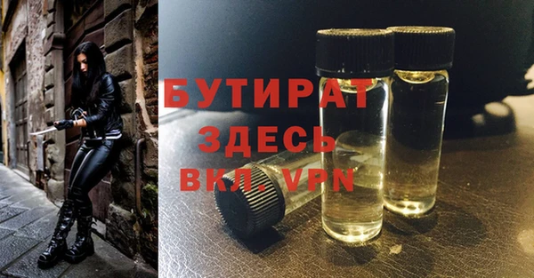 индика Каменка