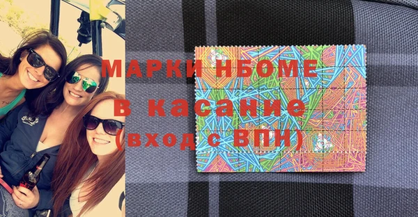 индика Каменка