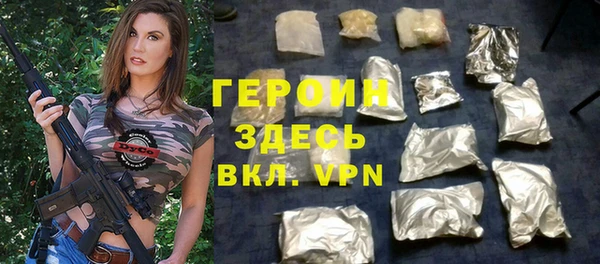 индика Каменка
