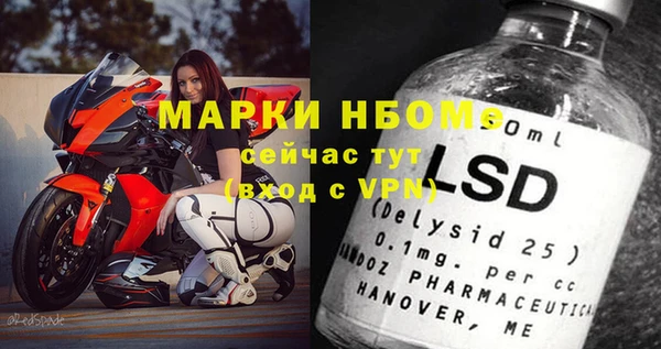 индика Каменка