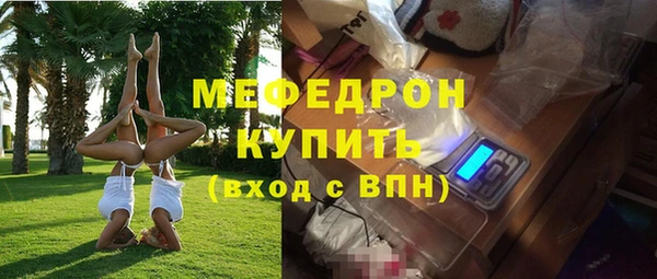 индика Каменка