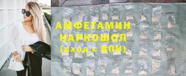 индика Каменка