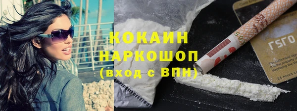 индика Каменка