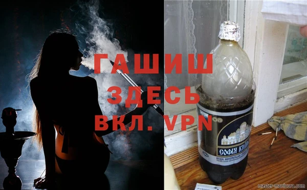 индика Каменка