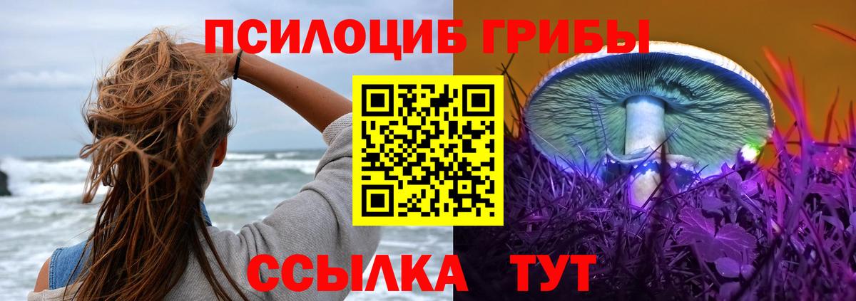 Псилоцибиновые грибы ЛСД  Вход с VPN  Псилоцибиновые грибы мухоморы  купить  цена  Соль-Илецк 