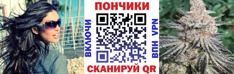 kraken   Соль-Илецк  Бошки марихуана SATIVA & INDICA 
