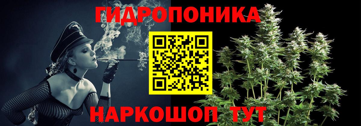 Конопля сатива  Канабис гибрид  Бошки Шишки Amnesia  Соль-Илецк  Вход с VPN 